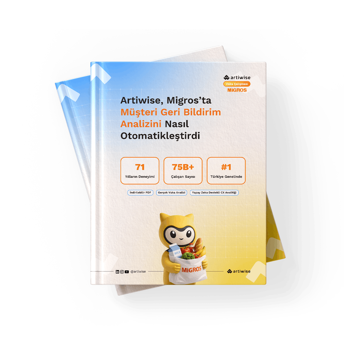 Artiwise x Migros